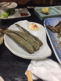 深海の魚コマイ.jpg